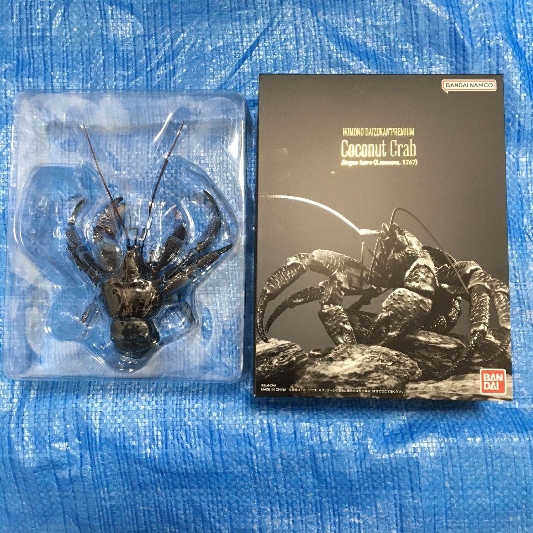 いきもの大図鑑プレミアム　ヤシガニ