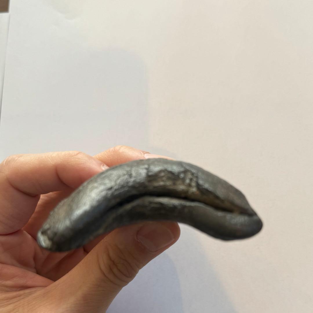 L*9様 【博物館級】宝石のような『メガロドン』の歯の化石