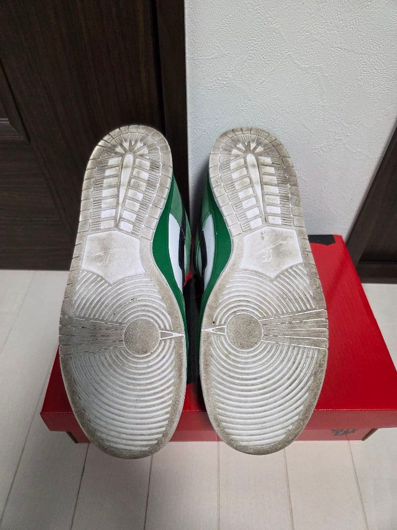 靴 ERROR DUNK LOW PRO SB BITE EM