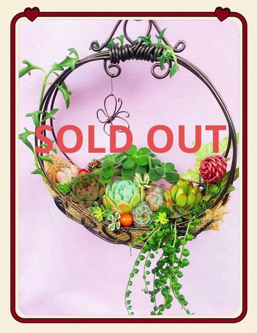 ワイヤーカゴ◆多肉寄せ植え