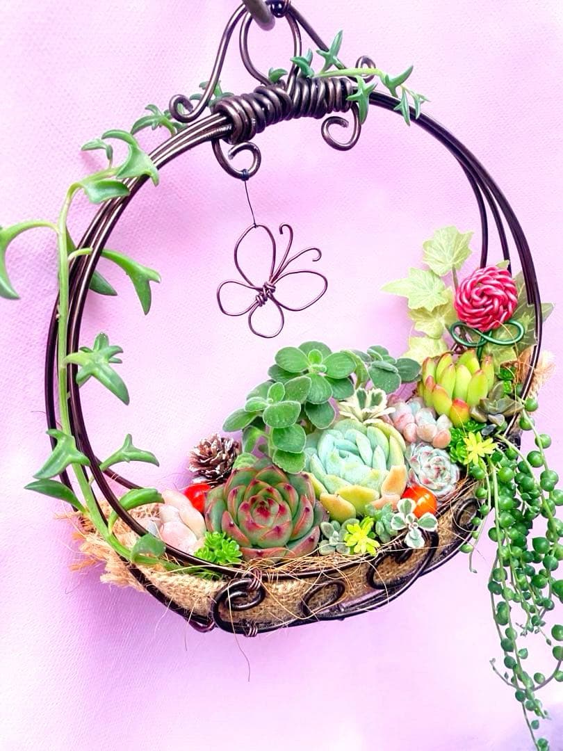 ワイヤーカゴ◆多肉寄せ植え