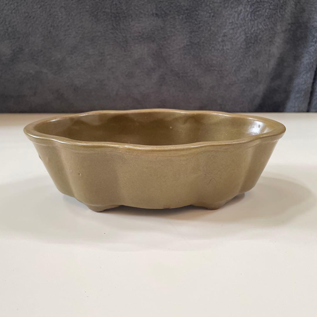 オリーブグリーン 花びら型鉢[1]