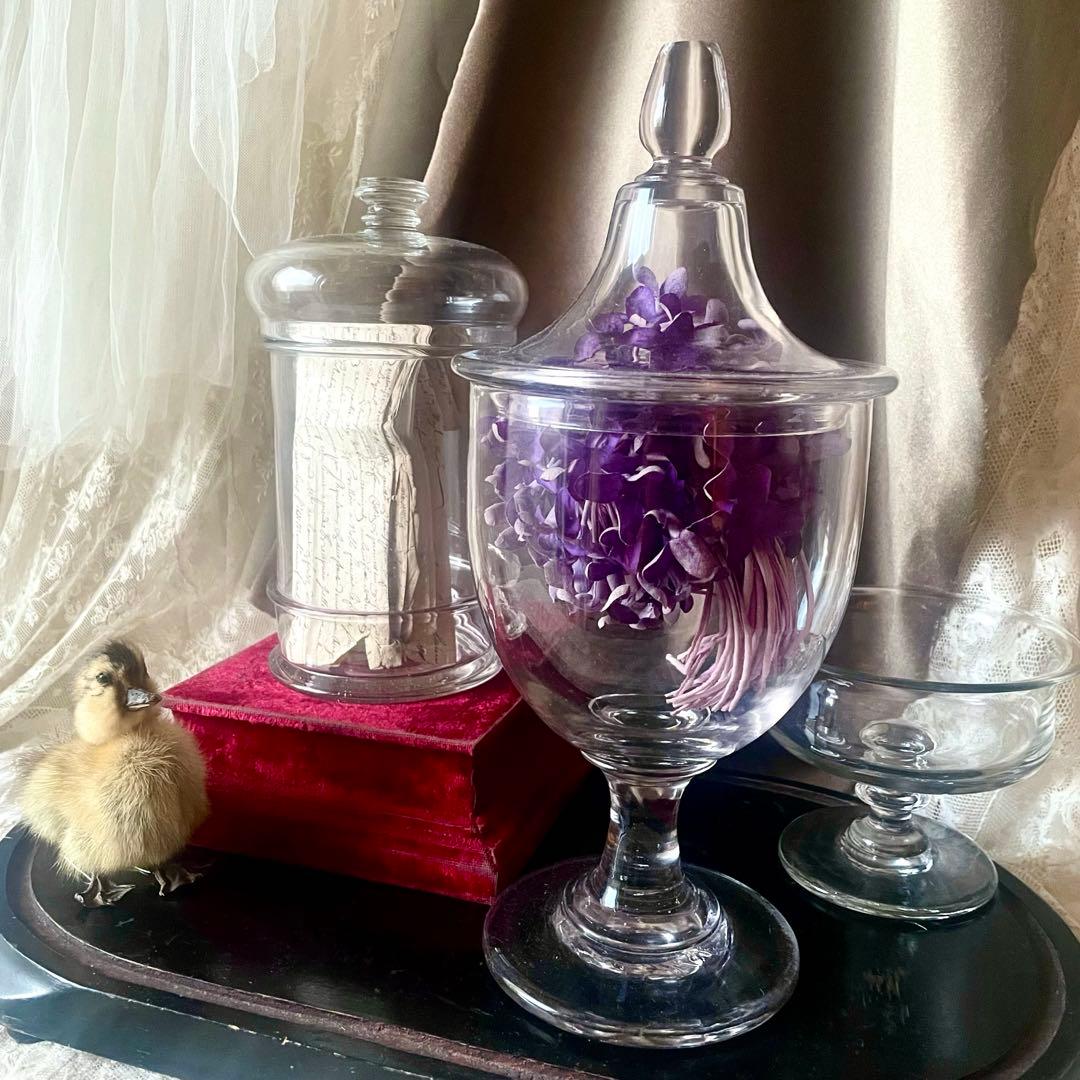 大きな蓋付きガラスボンボニエール　お菓子入れ19世紀店舗什器フランスアンティーク