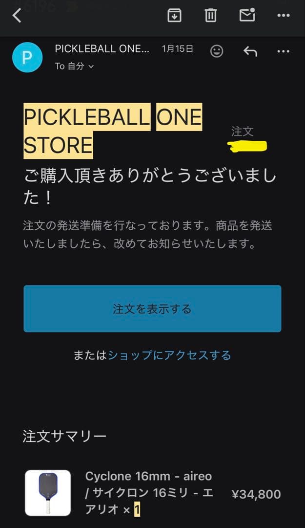 【美品】使用2時間Cyclone 16mm - aireoピックルボール パドル
