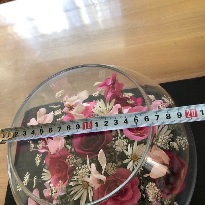 最高級レンデフロール薔薇 蘭　大サイズ