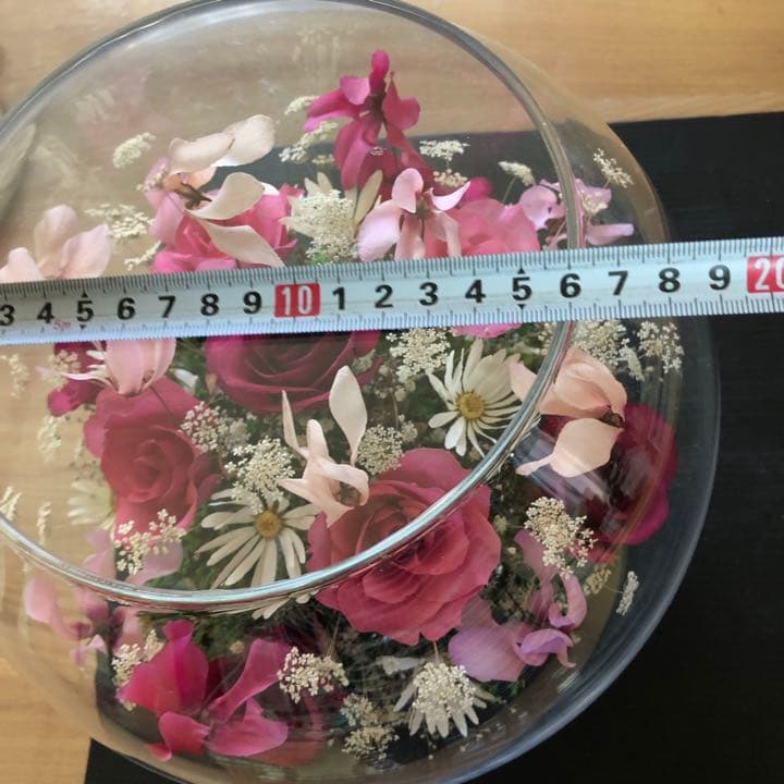 最高級レンデフロール薔薇 蘭　大サイズ