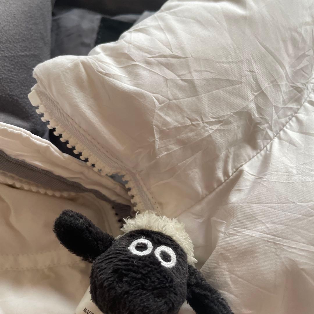 THE NORTH FACE ダウンベスト M ホワイト