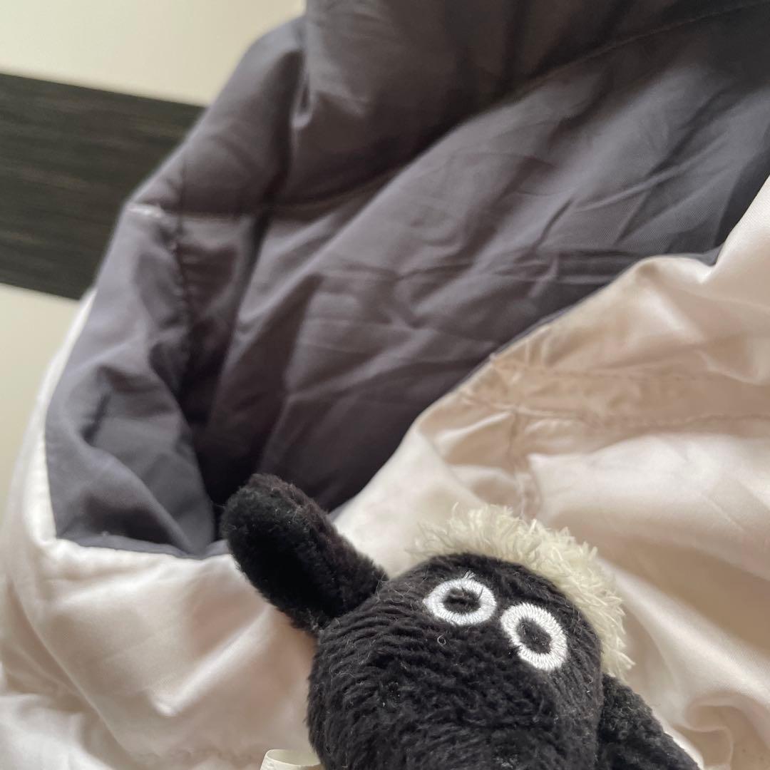 THE NORTH FACE ダウンベスト M ホワイト