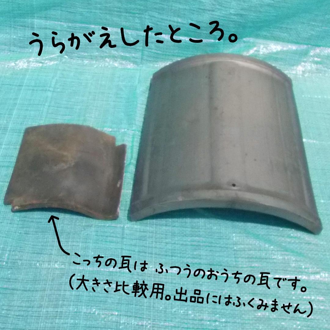 瓦　平瓦　東大寺大仏殿