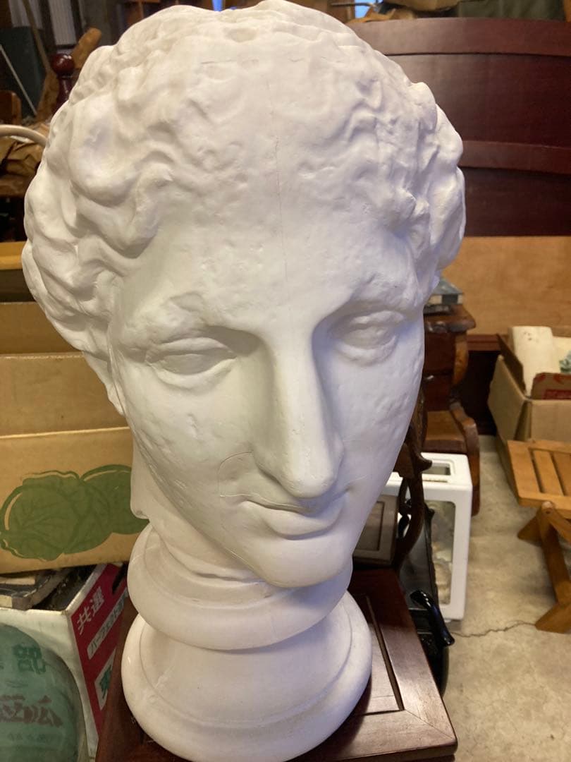 パルテノン ラボルトの胸像　石膏像