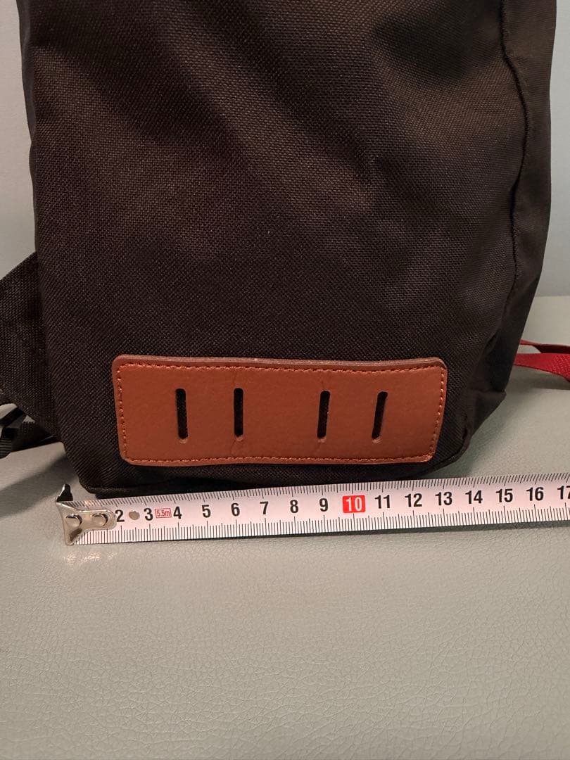 【極美品】パタゴニア アーバー・デイパックArbor Day Pack 20L