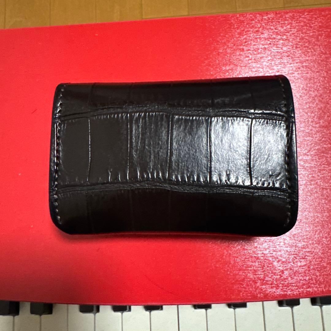 ワイルドスワンズ　　クロコ　アーサー