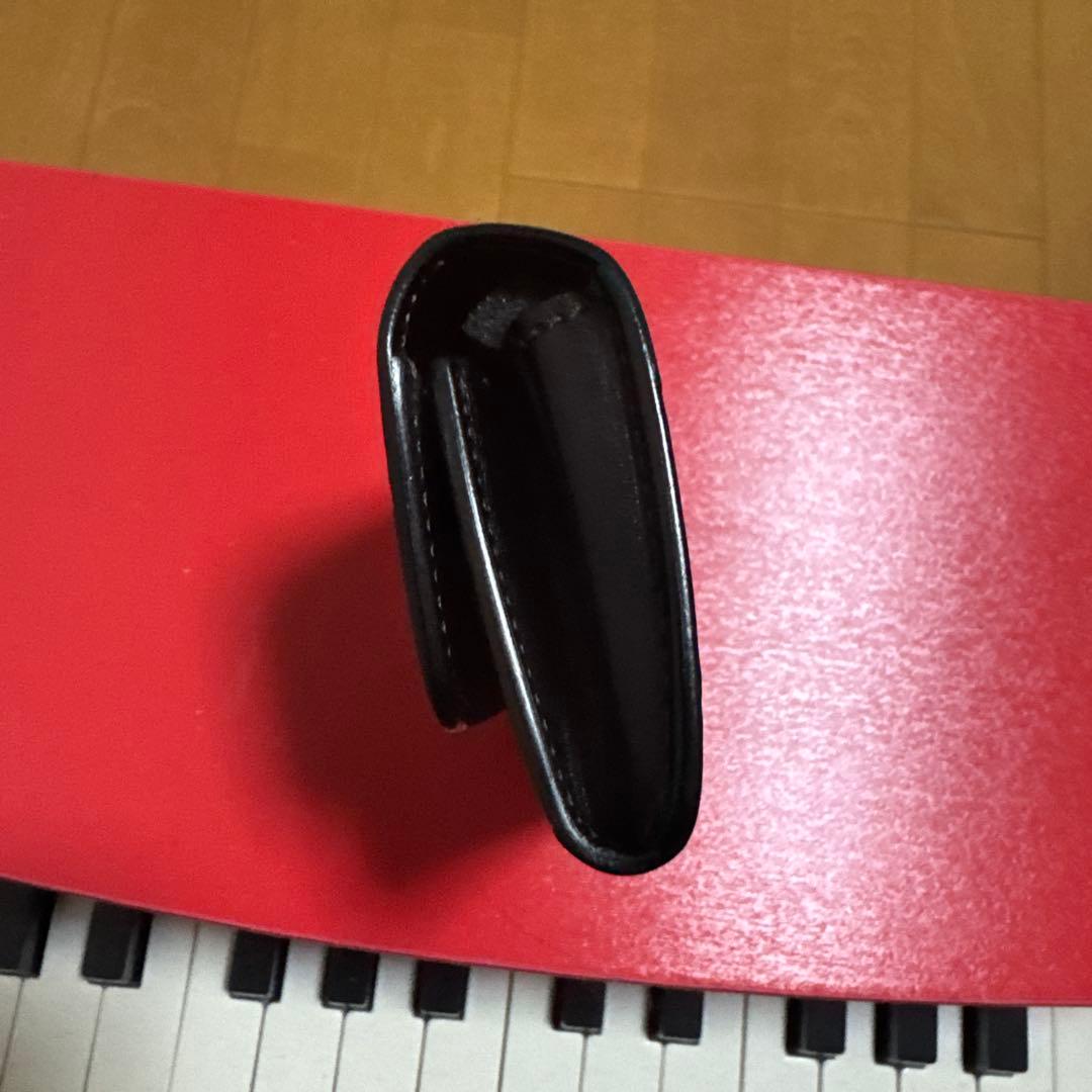 ワイルドスワンズ　　クロコ　アーサー