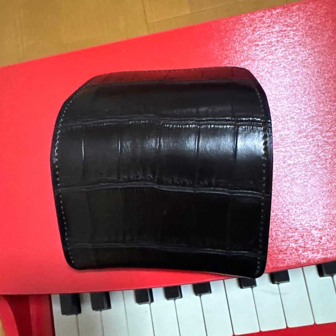 ワイルドスワンズ　　クロコ　アーサー