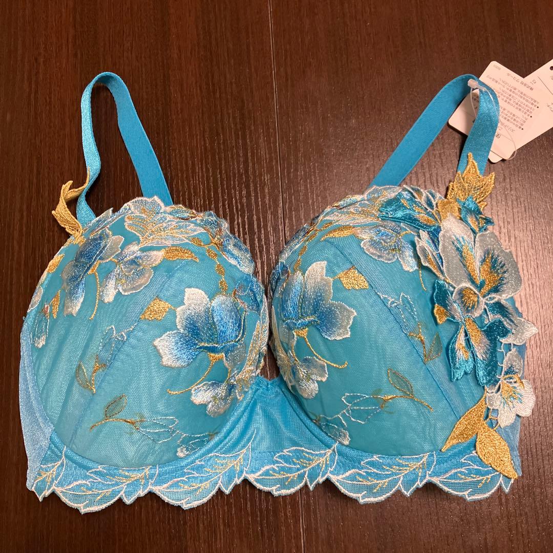 ワコール　サルート　H65