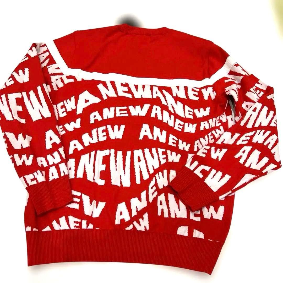 新品❤️ANEWゴルフ❤️メンズニット