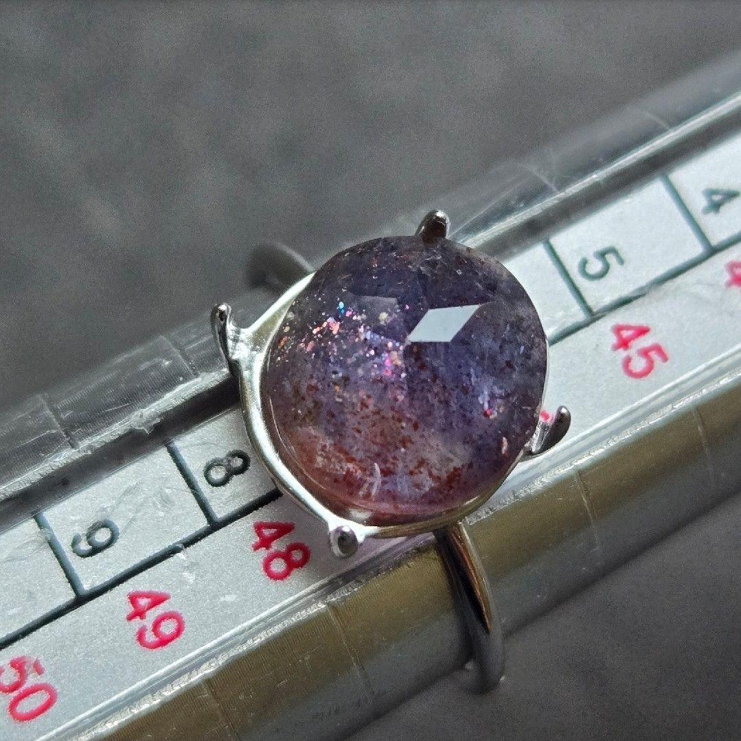 ミニピンLOVE✩.*˚