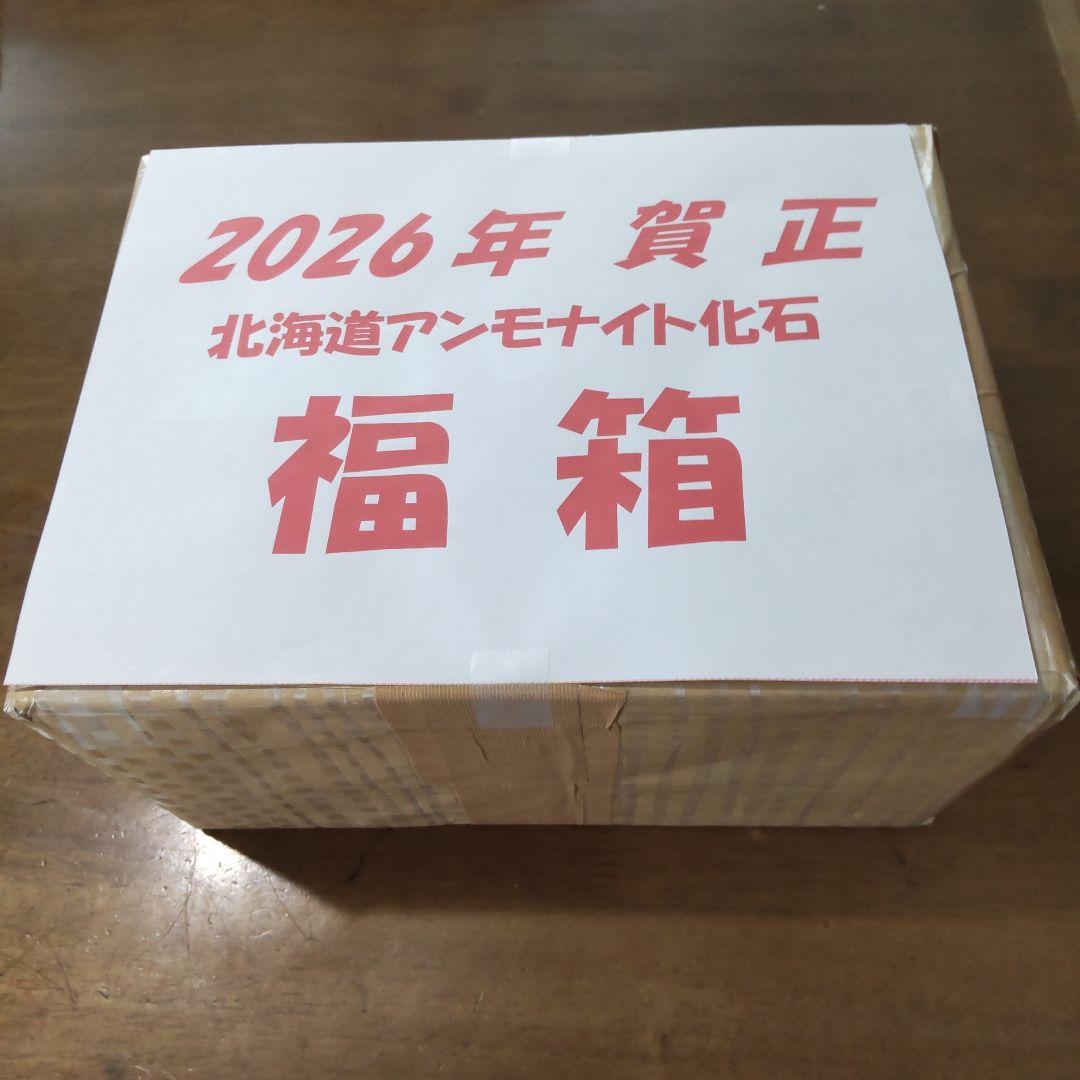 2026年新春　 北海道アンモナイト化石の福箱＋知識資料4点　その1