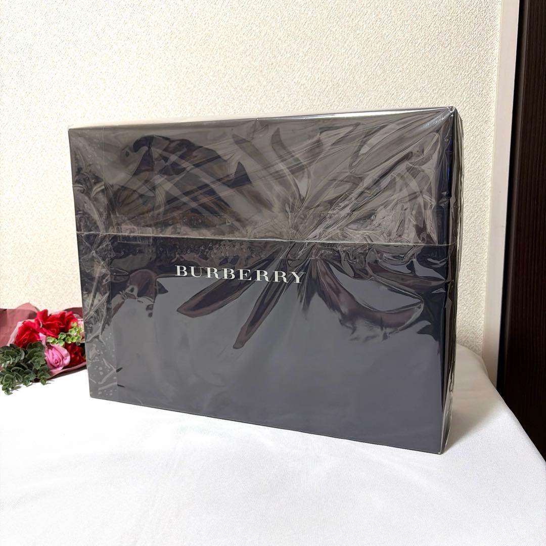 新品未使用 BURBERRY バーバリー 羽毛布団 ダウンケット ノバチェック