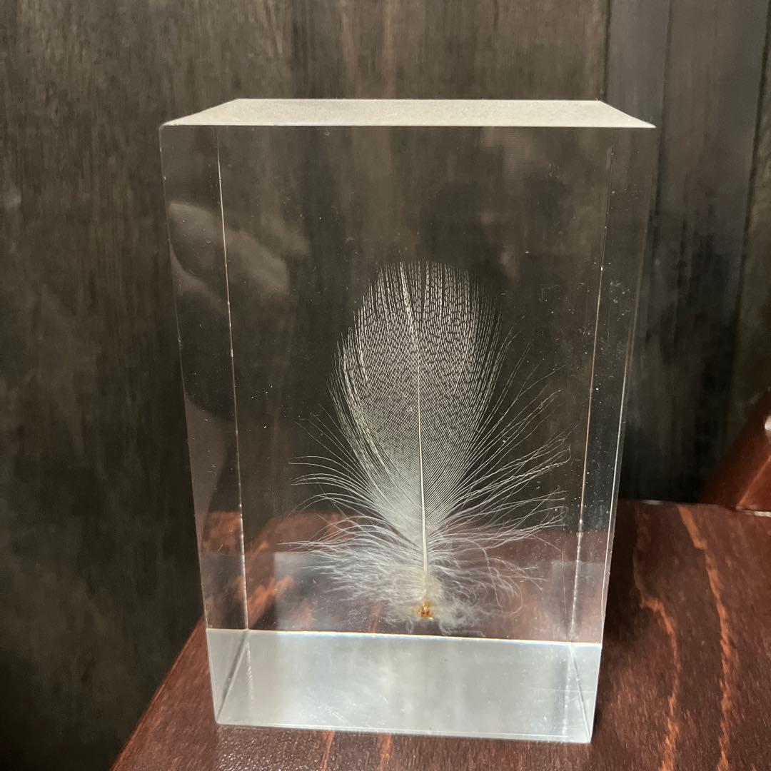 倉俣史朗 ShiroKURAMATA Floating Feather羽根の封印