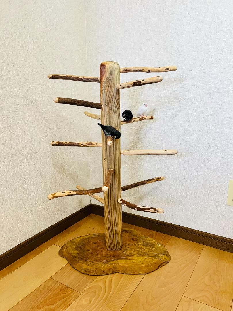 【中型鳥用】螺旋状♪ビビリさんにもすぃすぃ登れるバードスタンド