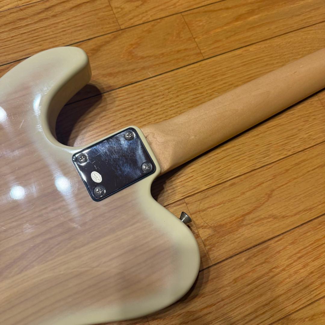 Bacchus / TACTICS バッカス テレキャスター