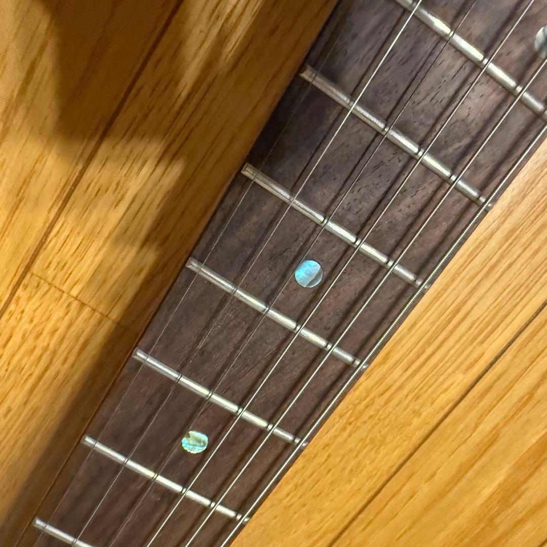 Bacchus / TACTICS バッカス テレキャスター