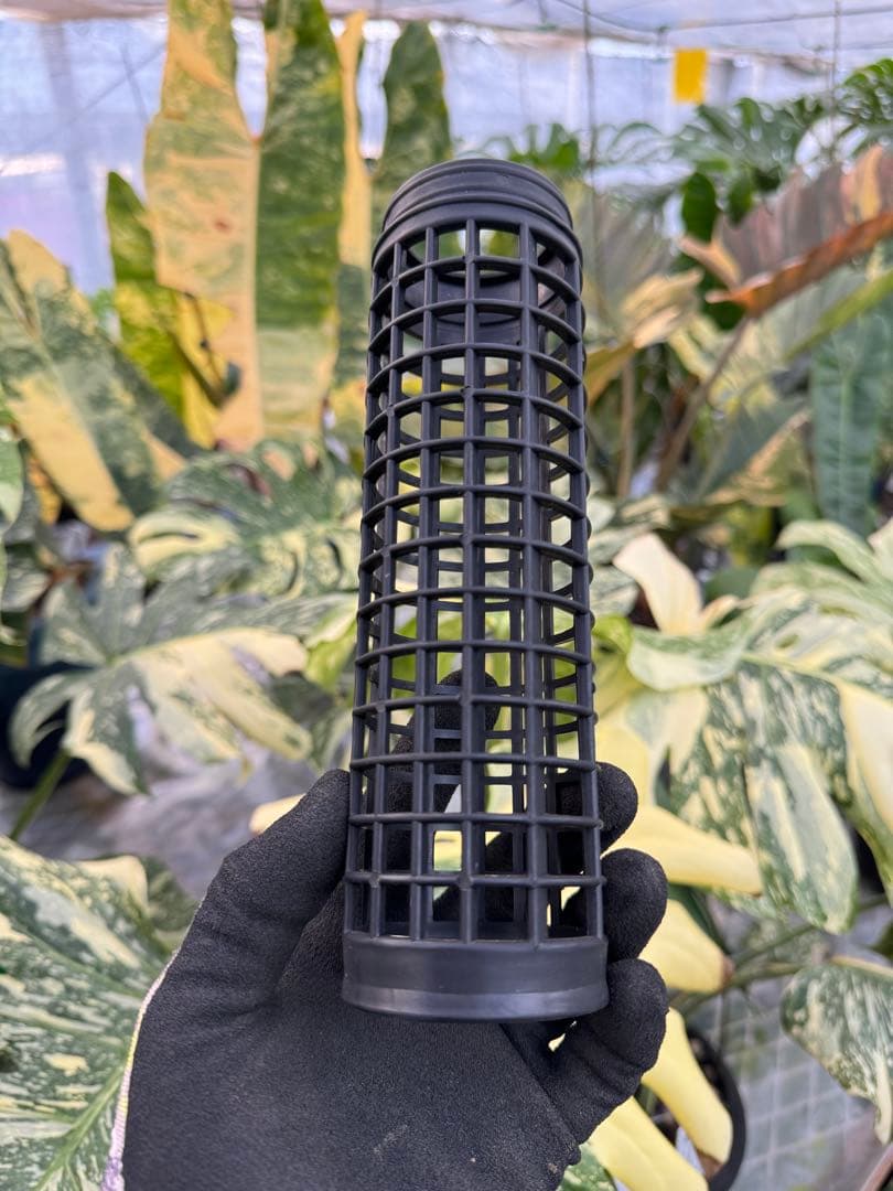 水苔無しモスポール　100本まとめ　20cmサイズ