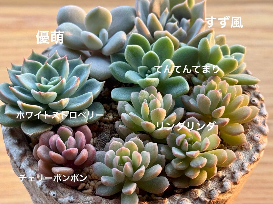 Mippo✩.*˚様 リクエスト 3点 まとめ商品