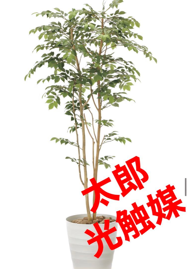 光触媒　人工観葉植物　フェイクグリーン　マウンテンアッシュ1.8m