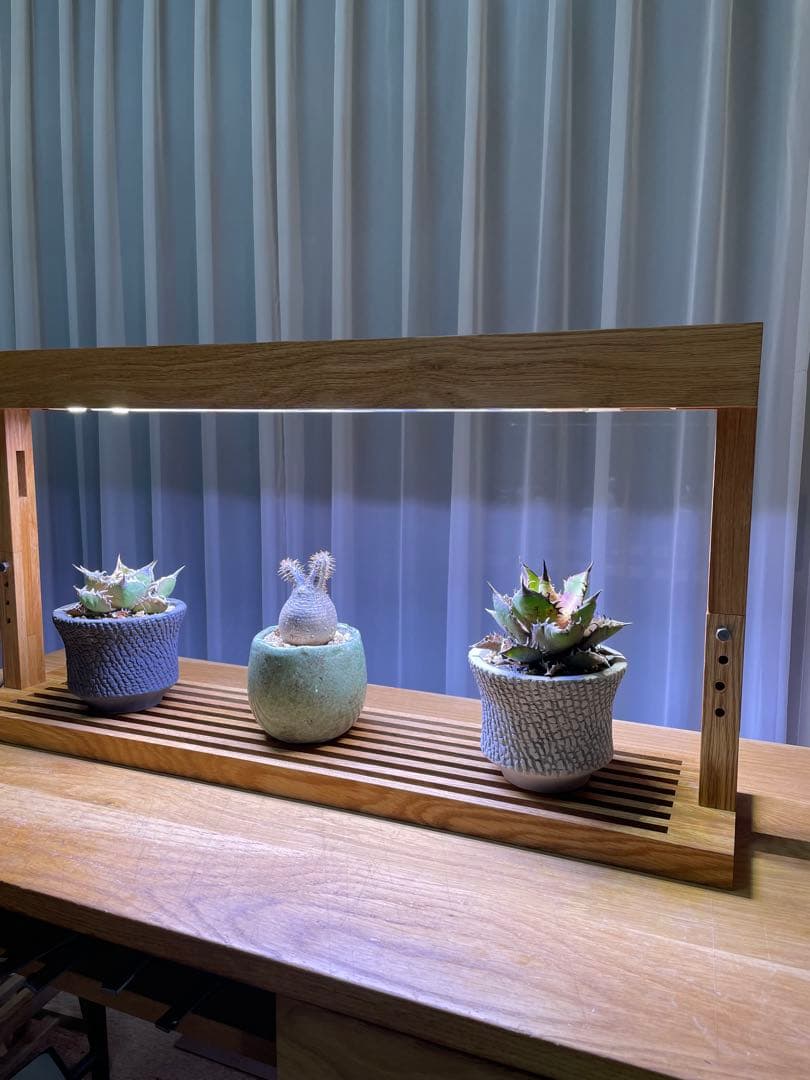 新作！植物育成LEDライトスタンド［オーク］