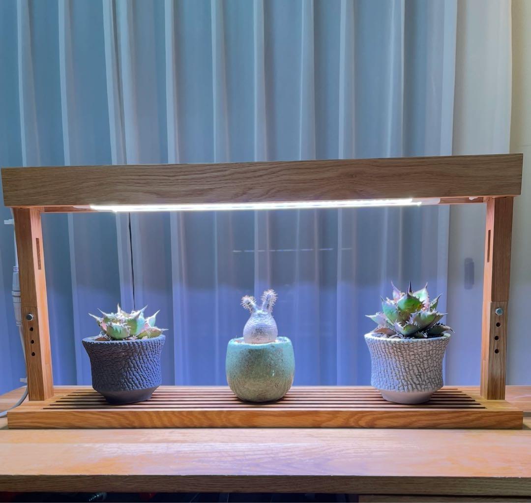 新作！植物育成LEDライトスタンド［オーク］