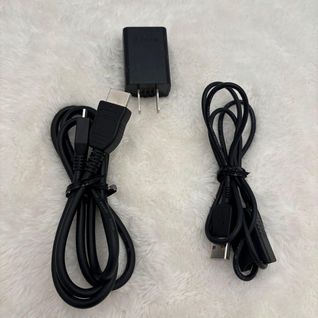 極美品　SONY ハンディカム HDR-CX420 デジタルビデオカメラ