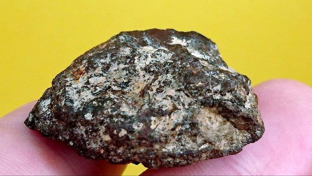 45.5億年前の特殊鉱物を含む超希少EL隕石14.9ｇ