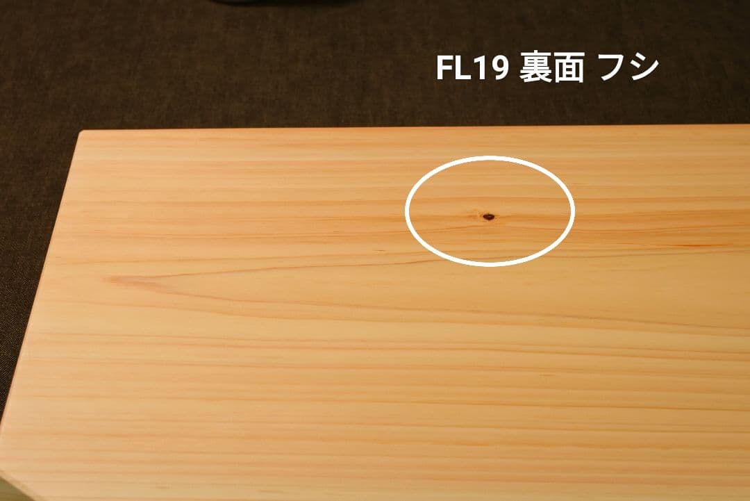 専用！ 他の方は購入しないでください！FM10とFL19！
