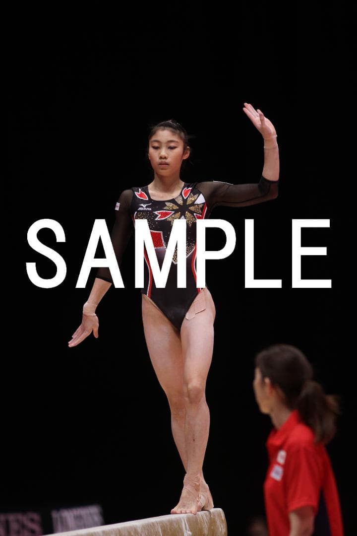 【セール中】2005～2015年 女子体操画像集(日本選手中心) 約4万枚