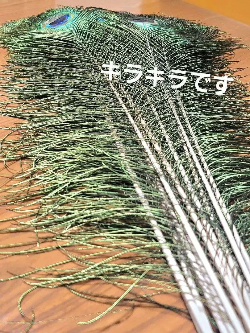 孔雀の羽　約70cmピーコックアイ＋約60cmソード　32本セット　鳥の羽根