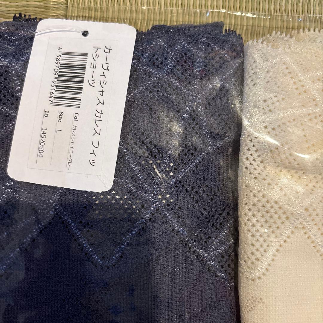 カーヴィシャスL×2