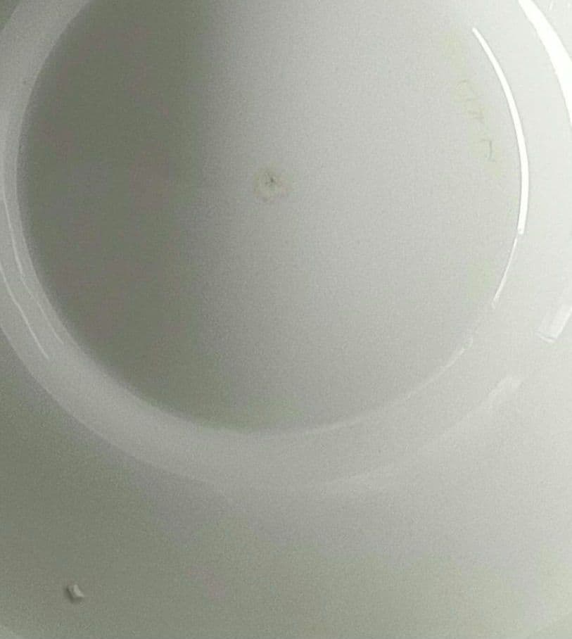 希少　美品　サルグミンヌ　ARUNDO 　スーピエール　フランスアンティーク