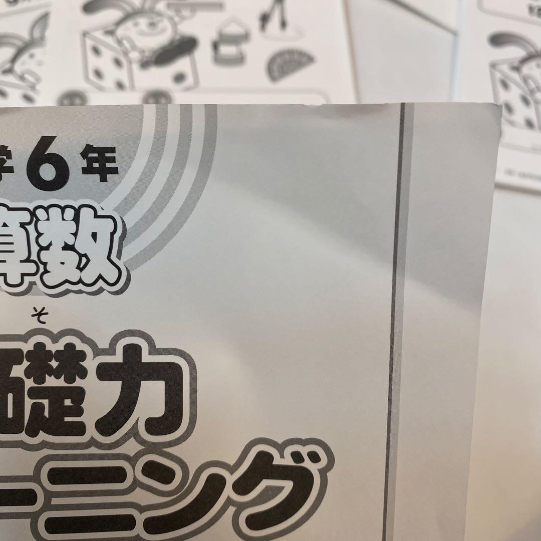 ヨ*ー様 【最新版・未記入】SAPIX 基礎トレ6年