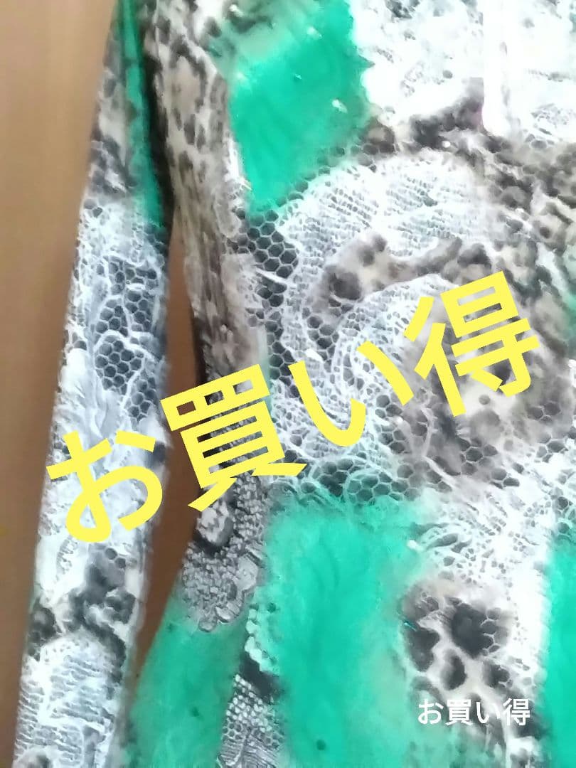 社交ダンス用ドレス 緑と黒のレオパード柄、グリーンのラインストーンが素敵なドレス