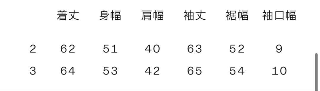 新品 Goldwin 1000FP Hooded Down Jacket