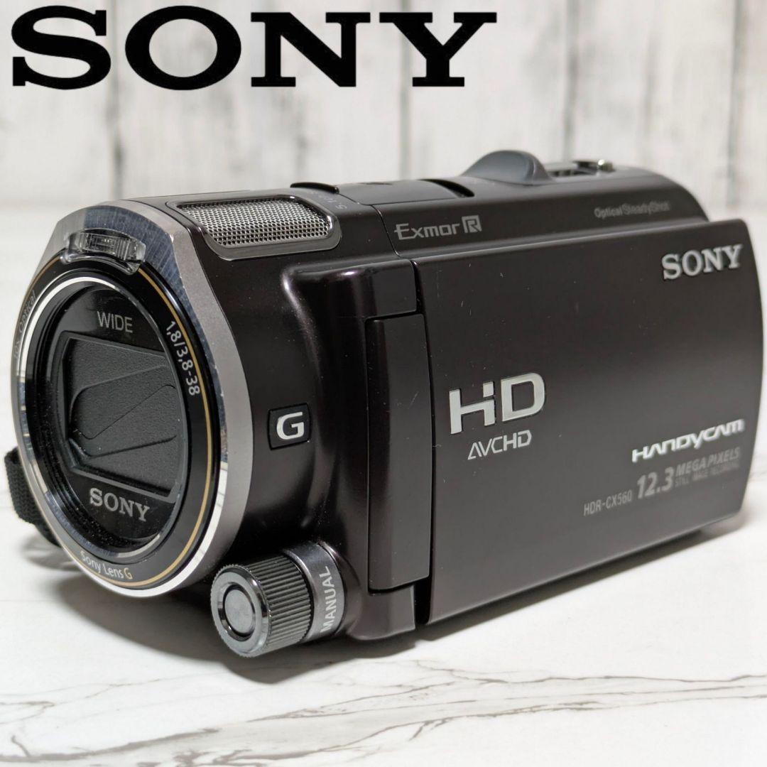SONY　HDR-CX560V　バッテリー&充電器セット
