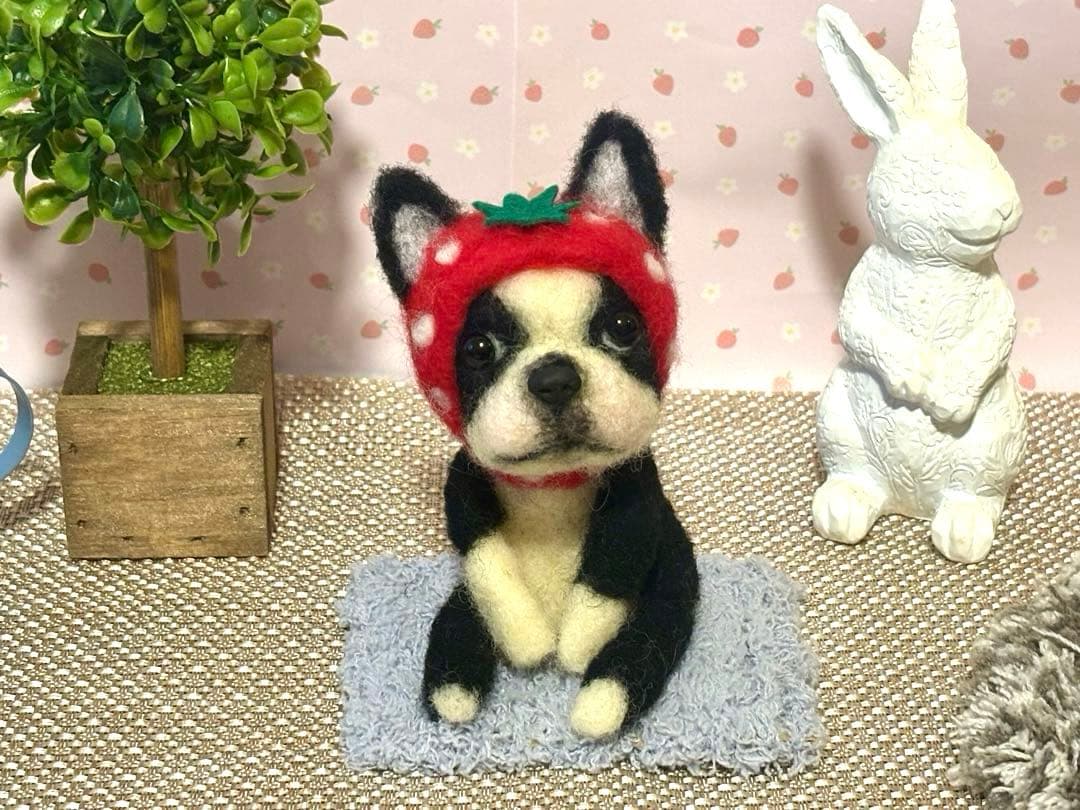 羊毛フェルト♡ボストンテリアちゃん♡苺の被り物♪(๑ᴖ◡ᴖ๑)♪