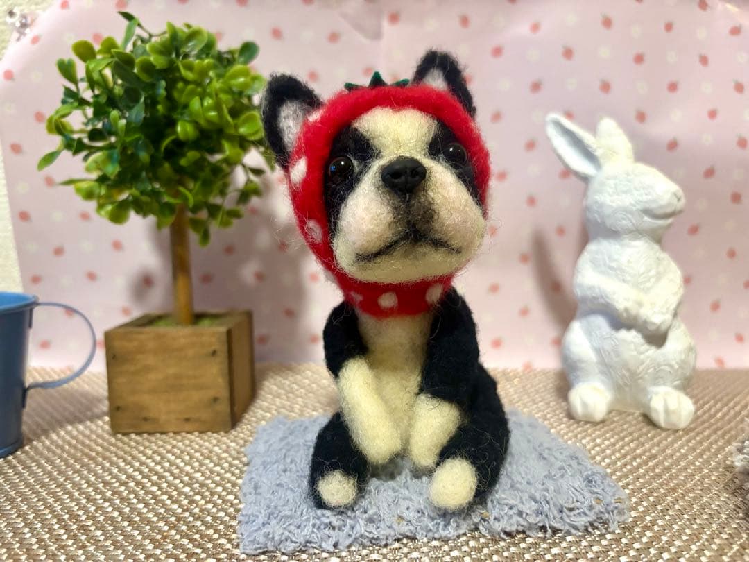 羊毛フェルト♡ボストンテリアちゃん♡苺の被り物♪(๑ᴖ◡ᴖ๑)♪