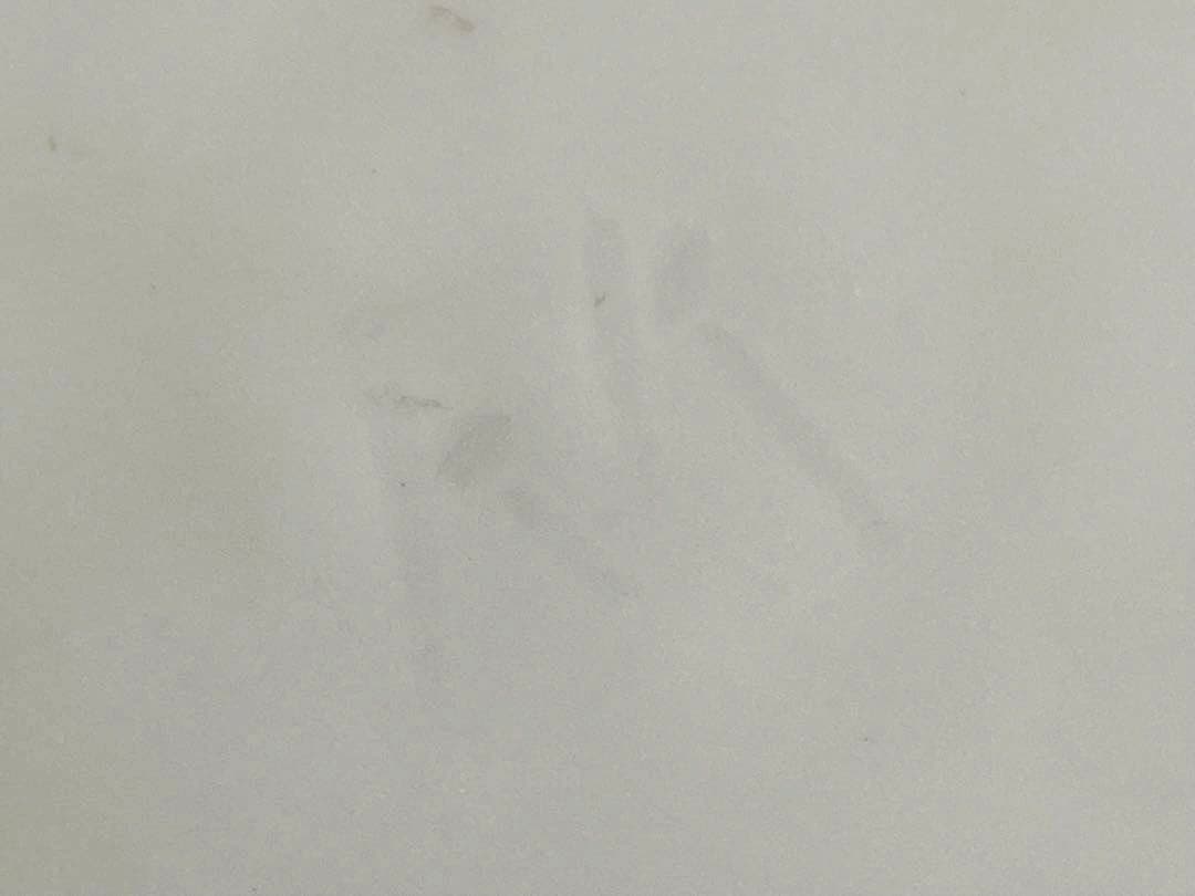 陶芸家　竹中浩　白磁　壺　壷　白磁花入　花器　花瓶　共箱　李朝