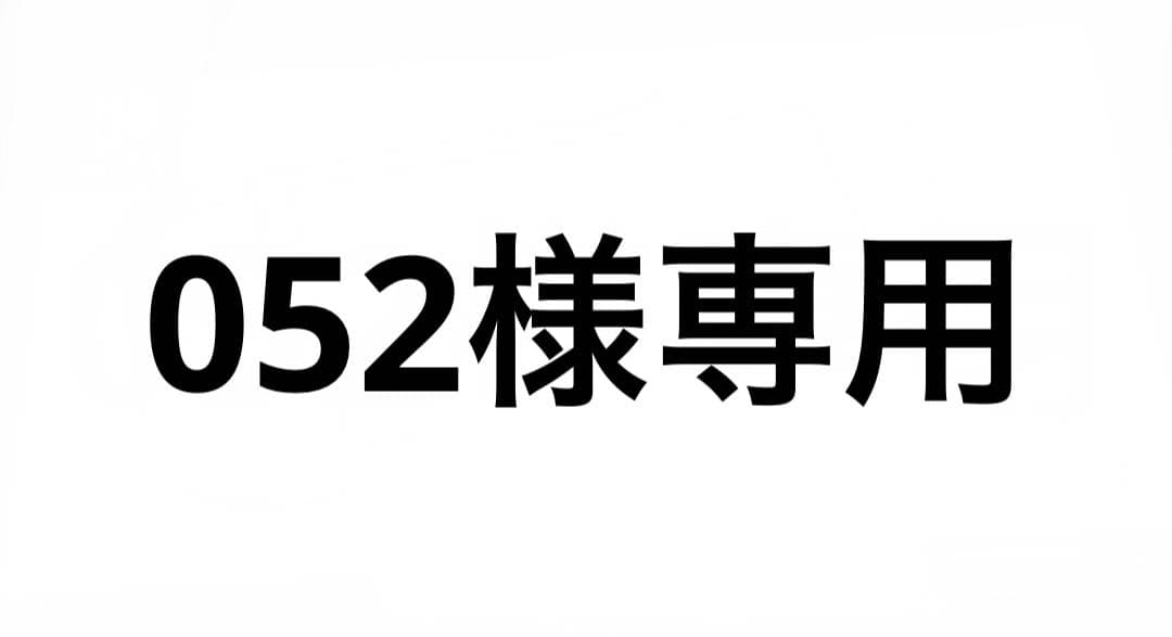 052　Nintendo Switch Lite Minecraft付属