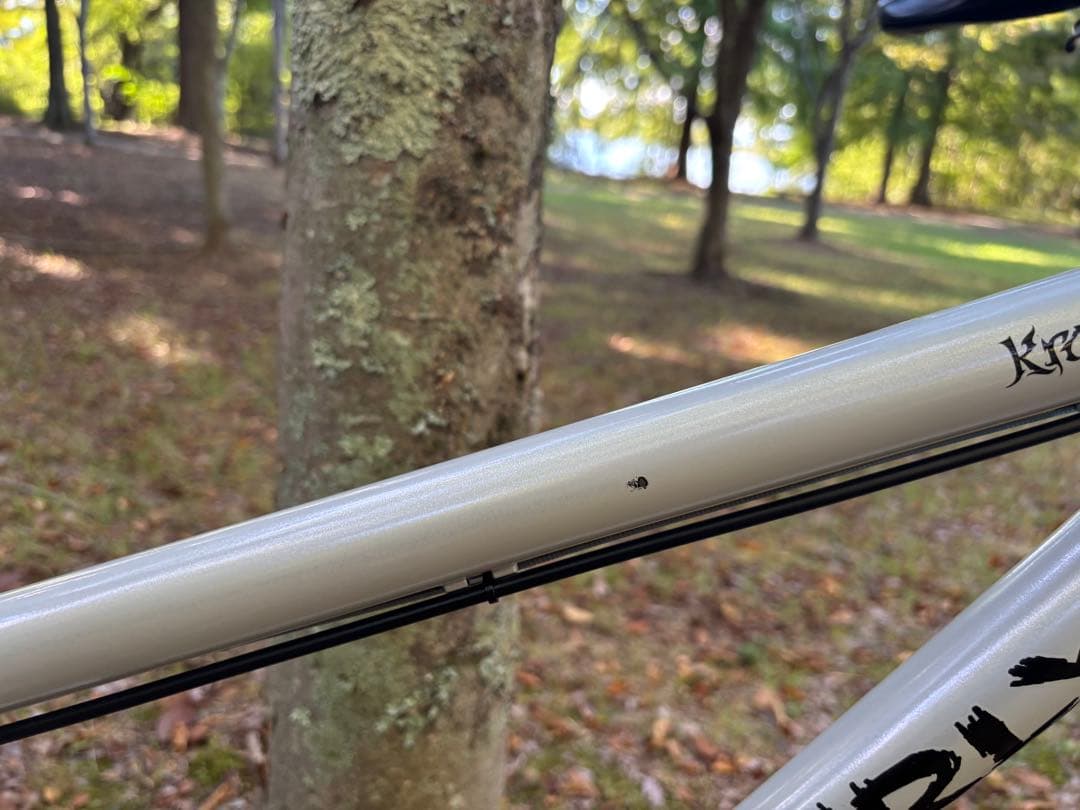 送料無料 美品 サーリー SURLY クランパス KRAMPUS Mサイズ