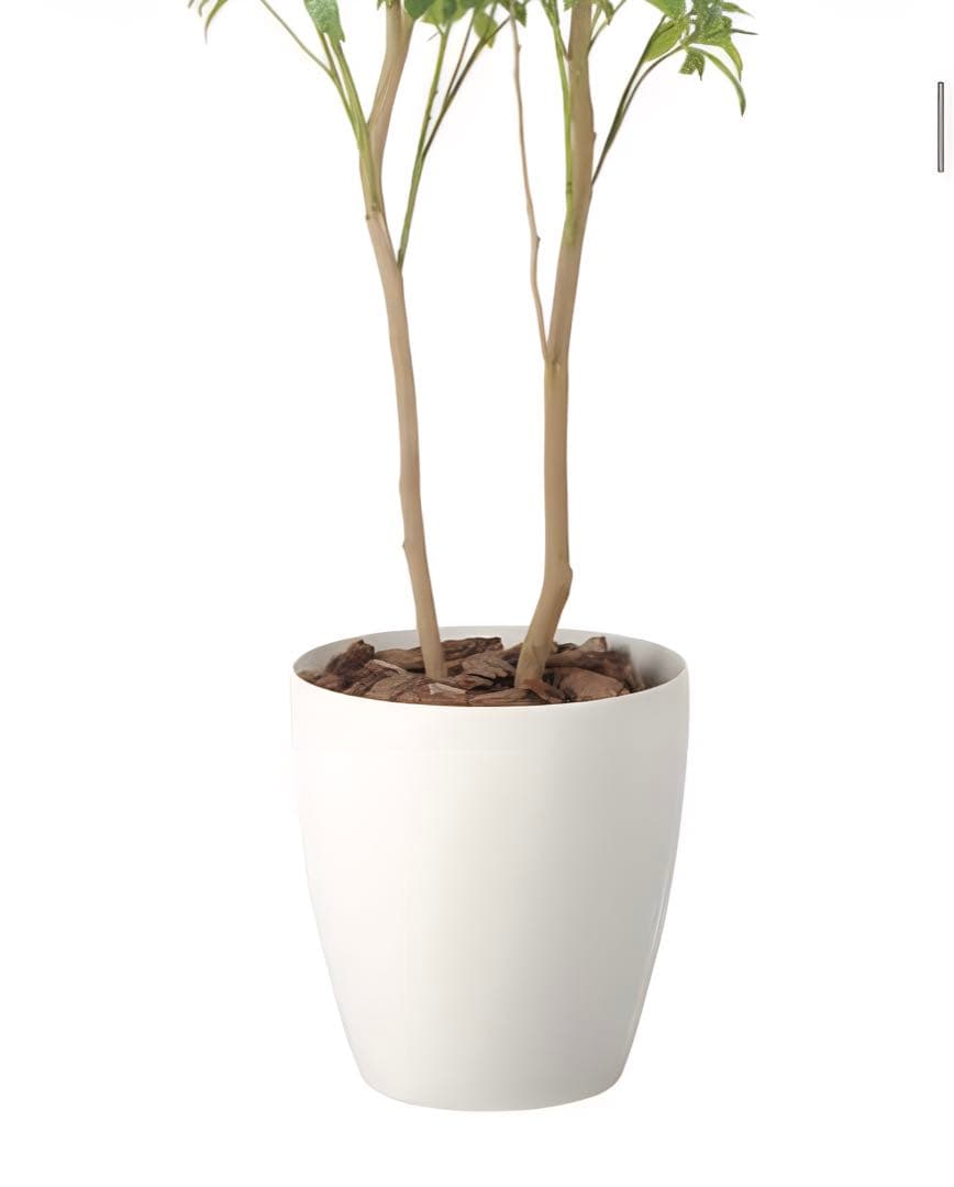 光触媒　人工観葉植物　ウォールグリーン　フェイクグリーン　フレッシュアセビ1.8