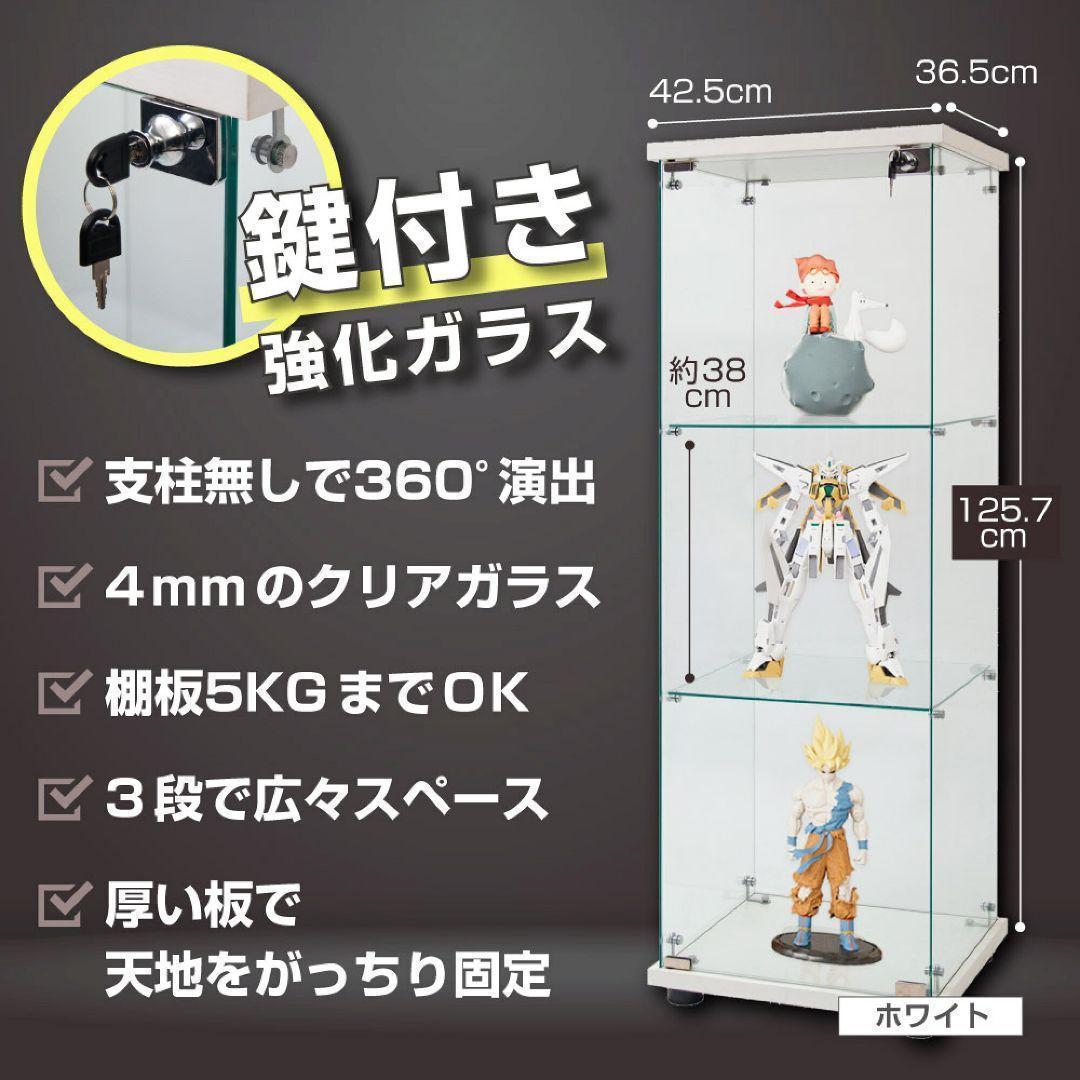 コレクション ディスプレイ ケース コレクションボックス ブラック 1817